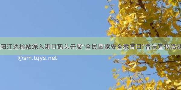 阳江边检站深入港口码头开展“全民国家安全教育日”普法宣传活动