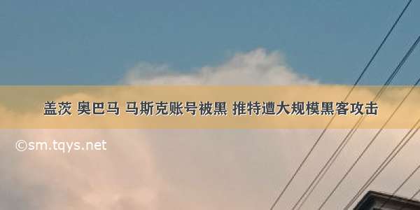 盖茨 奥巴马 马斯克账号被黑 推特遭大规模黑客攻击