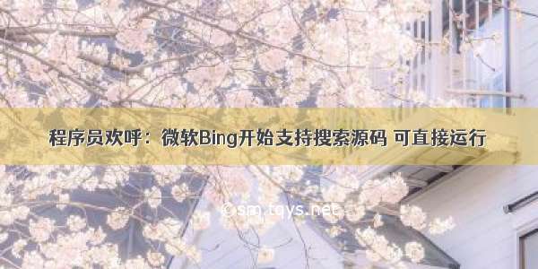 程序员欢呼：微软Bing开始支持搜索源码 可直接运行