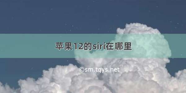 苹果12的siri在哪里