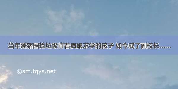 当年睡猪圈捡垃圾背着疯娘求学的孩子 如今成了副校长……