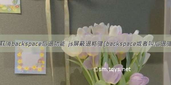 html5取消backspace后退功能 js屏蔽退格键(backspace或者叫后退键与F5)