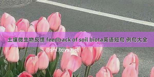 土壤微生物反馈 feedback of soil biota英语短句 例句大全