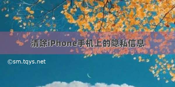 清除iPhone手机上的隐私信息