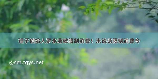 锤子创始人罗永浩被限制消费！来谈谈限制消费令