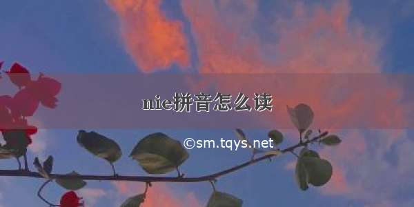 nie拼音怎么读