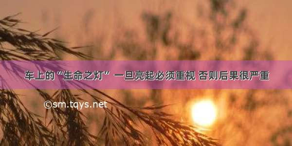 车上的“生命之灯” 一旦亮起必须重视 否则后果很严重