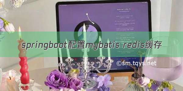 springboot配置mybatis redis缓存