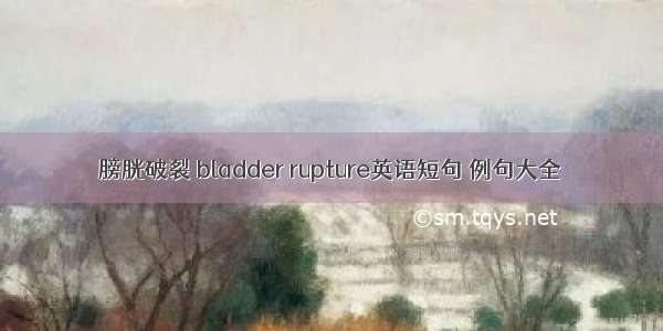 膀胱破裂 bladder rupture英语短句 例句大全