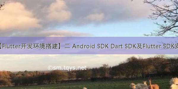 【Flutter开发环境搭建】二 Android SDK Dart SDK及Flutter SDK安装
