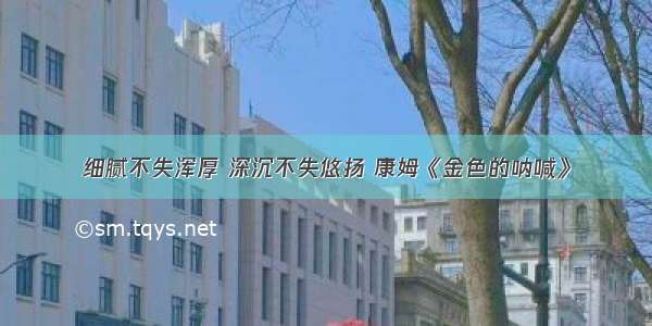 细腻不失浑厚 深沉不失悠扬 康姆《金色的呐喊》