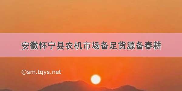 安徽怀宁县农机市场备足货源备春耕