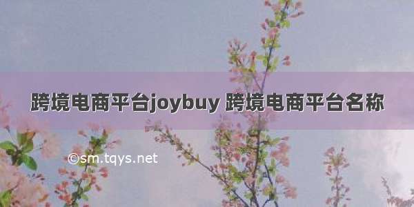 跨境电商平台joybuy 跨境电商平台名称
