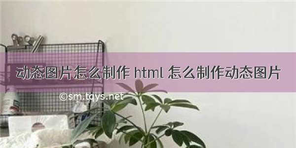 动态图片怎么制作 html 怎么制作动态图片