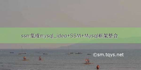 ssm集成mysql_idea+SSM+Mysql框架整合