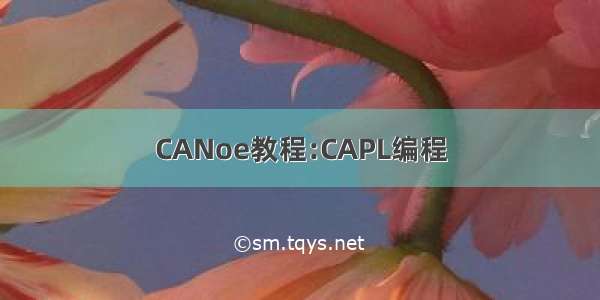 CANoe教程:CAPL编程