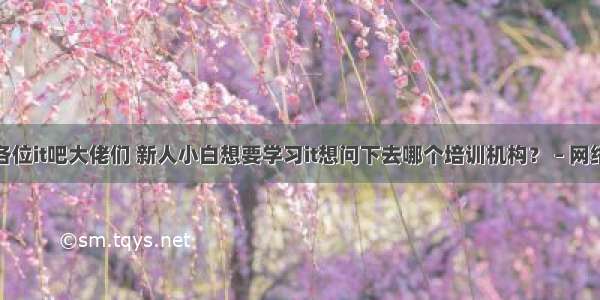 各位it吧大佬们 新人小白想要学习it想问下去哪个培训机构？ – 网络