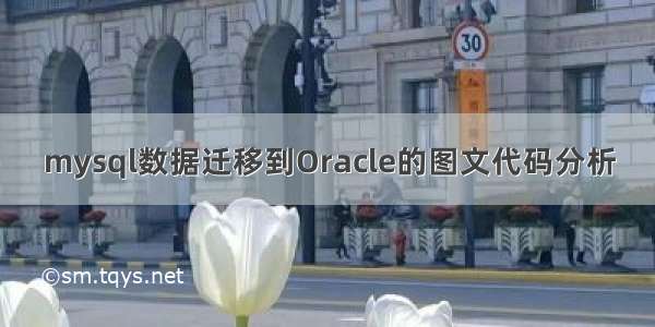 mysql数据迁移到Oracle的图文代码分析