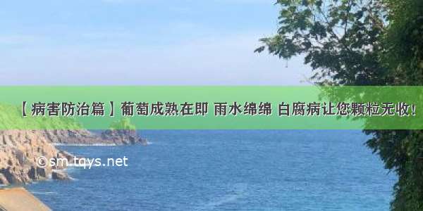 【病害防治篇】葡萄成熟在即 雨水绵绵 白腐病让您颗粒无收！