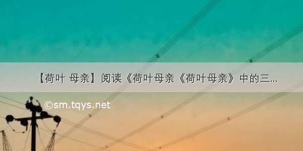 【荷叶 母亲】阅读《荷叶母亲《荷叶母亲》中的三...