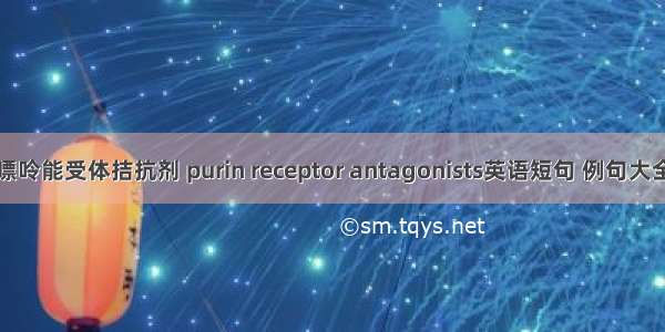 嘌呤能受体拮抗剂 purin receptor antagonists英语短句 例句大全