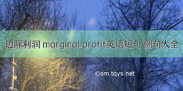 边际利润 marginal profit英语短句 例句大全