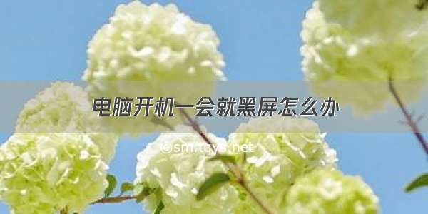 电脑开机一会就黑屏怎么办