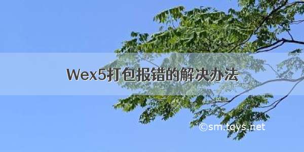 Wex5打包报错的解决办法