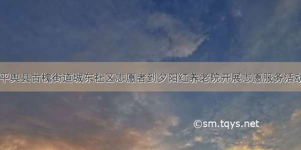 平舆县古槐街道城东社区志愿者到夕阳红养老院开展志愿服务活动