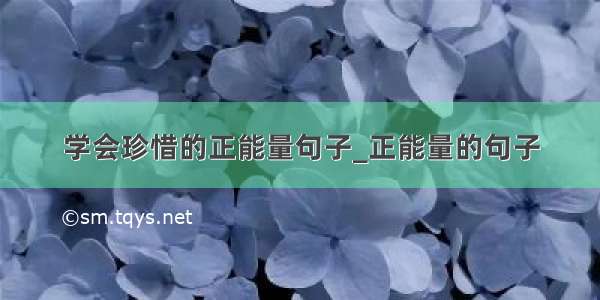 学会珍惜的正能量句子_正能量的句子