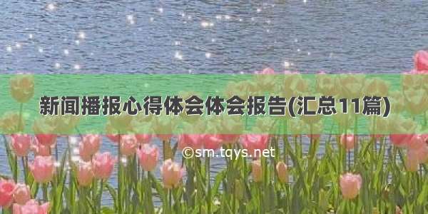 新闻播报心得体会体会报告(汇总11篇)