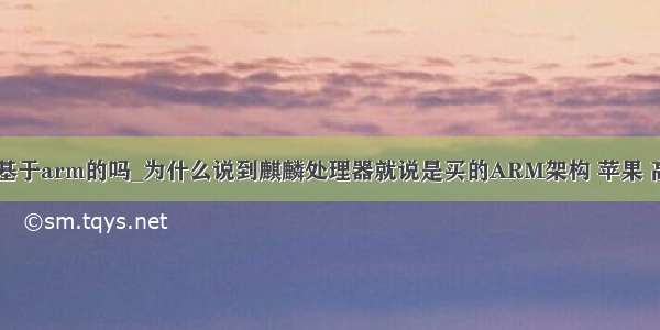 麒麟处理器是基于arm的吗_为什么说到麒麟处理器就说是买的ARM架构 苹果 高通不是吗？...