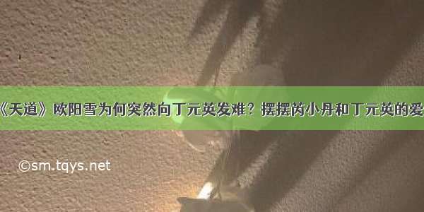 《天道》欧阳雪为何突然向丁元英发难？摆摆芮小丹和丁元英的爱情