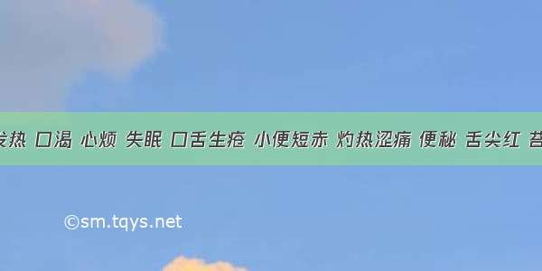 患者发热 口渴 心烦 失眠 口舌生疮 小便短赤 灼热涩痛 便秘 舌尖红 苔黄 脉