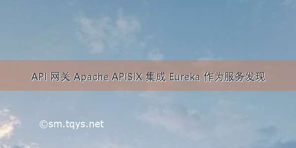 API 网关 Apache APISIX 集成 Eureka 作为服务发现