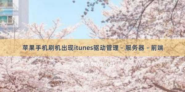 苹果手机刷机出现itunes驱动管理 – 服务器 – 前端