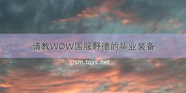 请教WOW国服野德的毕业装备