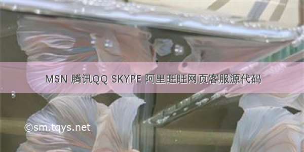 MSN 腾讯QQ SKYPE 阿里旺旺网页客服源代码