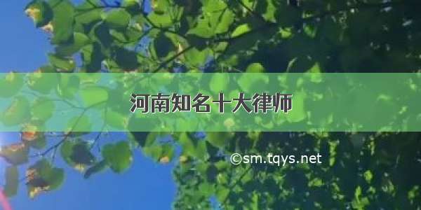 河南知名十大律师