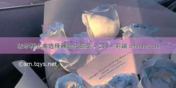 表示样式类选择器的代码是 – CSS – 前端 charset css