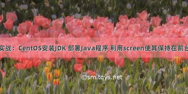 爬虫实战：CentOS安装JDK 部署Java程序 利用screen使其保持在前台运行