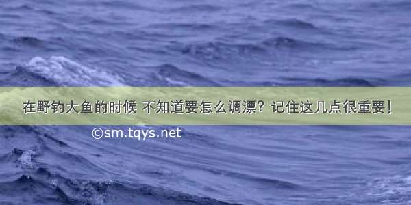 在野钓大鱼的时候 不知道要怎么调漂？记住这几点很重要！