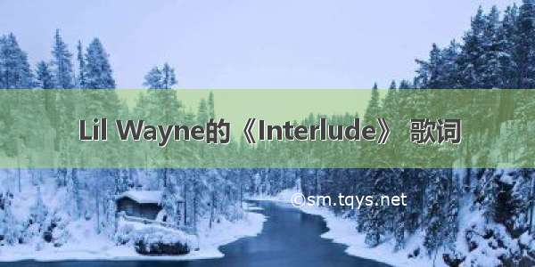 Lil Wayne的《Interlude》 歌词