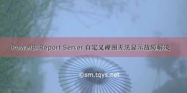PowerBI Report Server 自定义视图无法显示故障解决