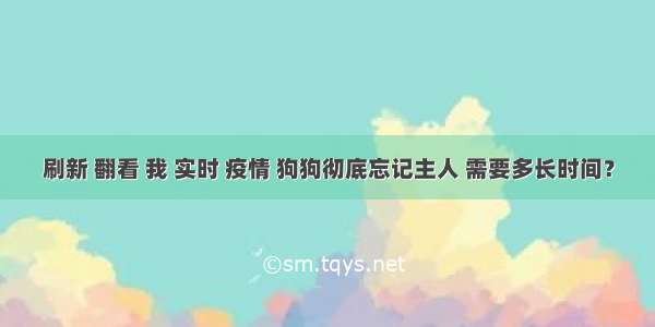 刷新 翻看 我 实时 疫情 狗狗彻底忘记主人 需要多长时间？