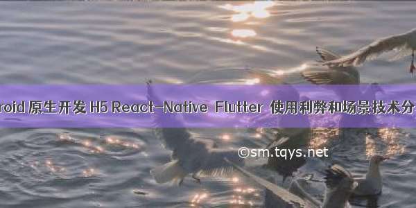 Android 原生开发 H5 React-Native  Flutter  使用利弊和场景技术分享
