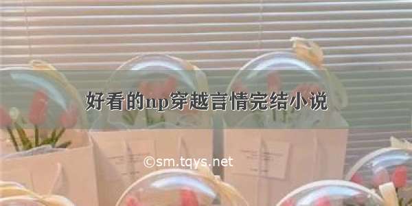 好看的np穿越言情完结小说