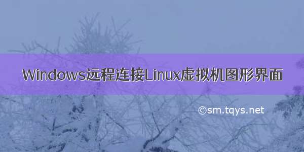 Windows远程连接Linux虚拟机图形界面