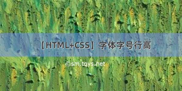 【HTML+CSS】字体字号行高