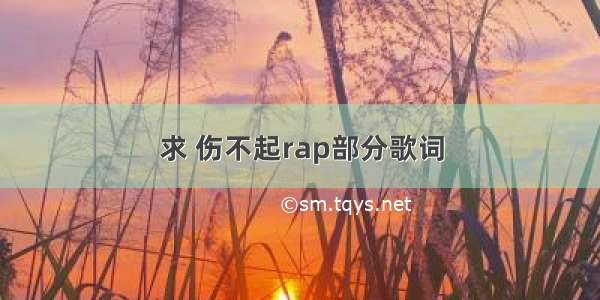 求 伤不起rap部分歌词